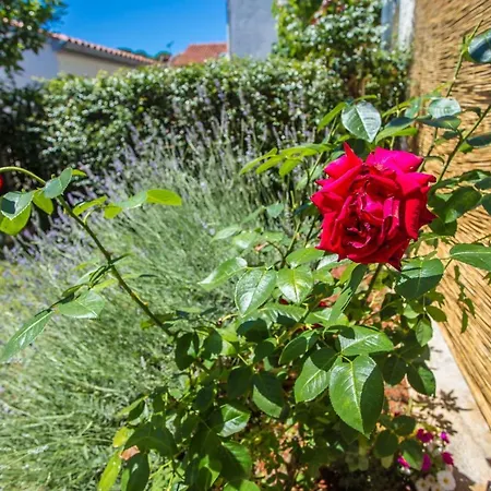 Rosse Apartmán